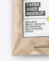 Kraft Paper Mailing Bag Mockup