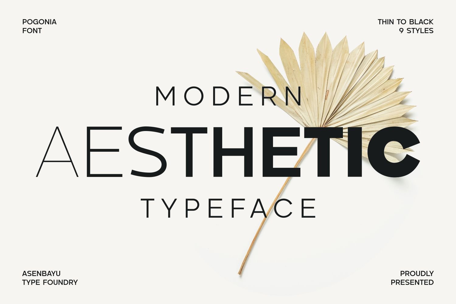 Pogonia - Modern Font Family