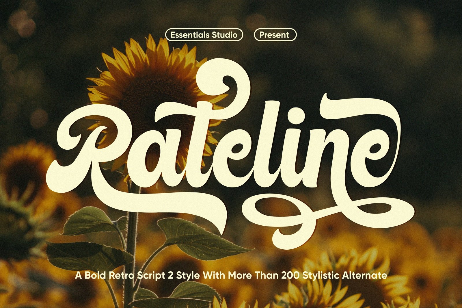 Rateline - Bold Vintage Font