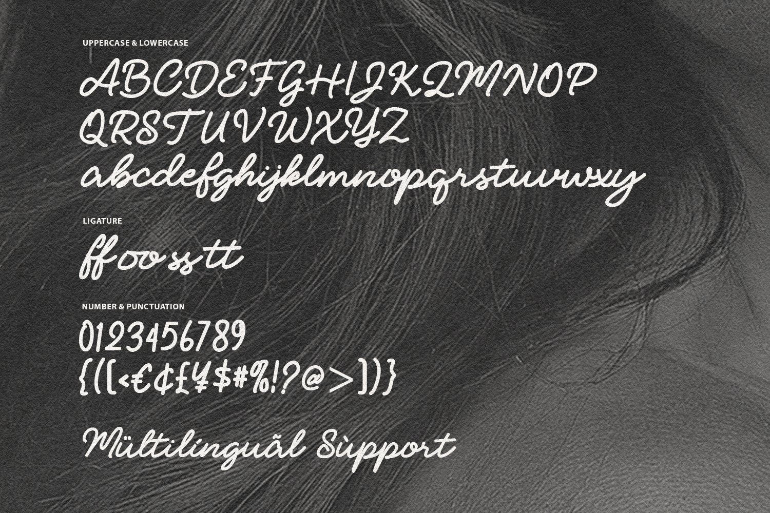 Mudelhos Modern Calligraphy Script Font