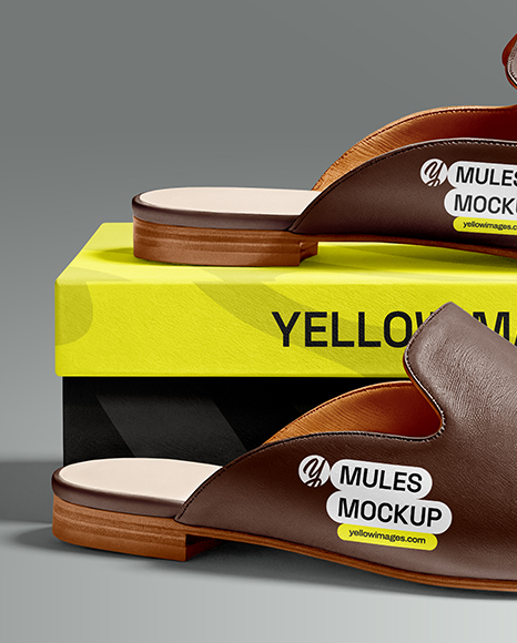 Pair of Mules with Shoe Box Mockup
