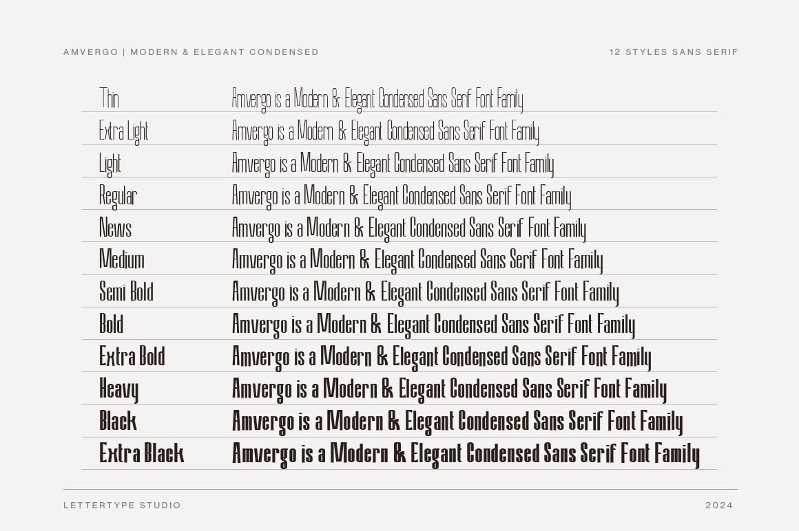 Amvergo Modern &amp; Elegant Sans Serif Family