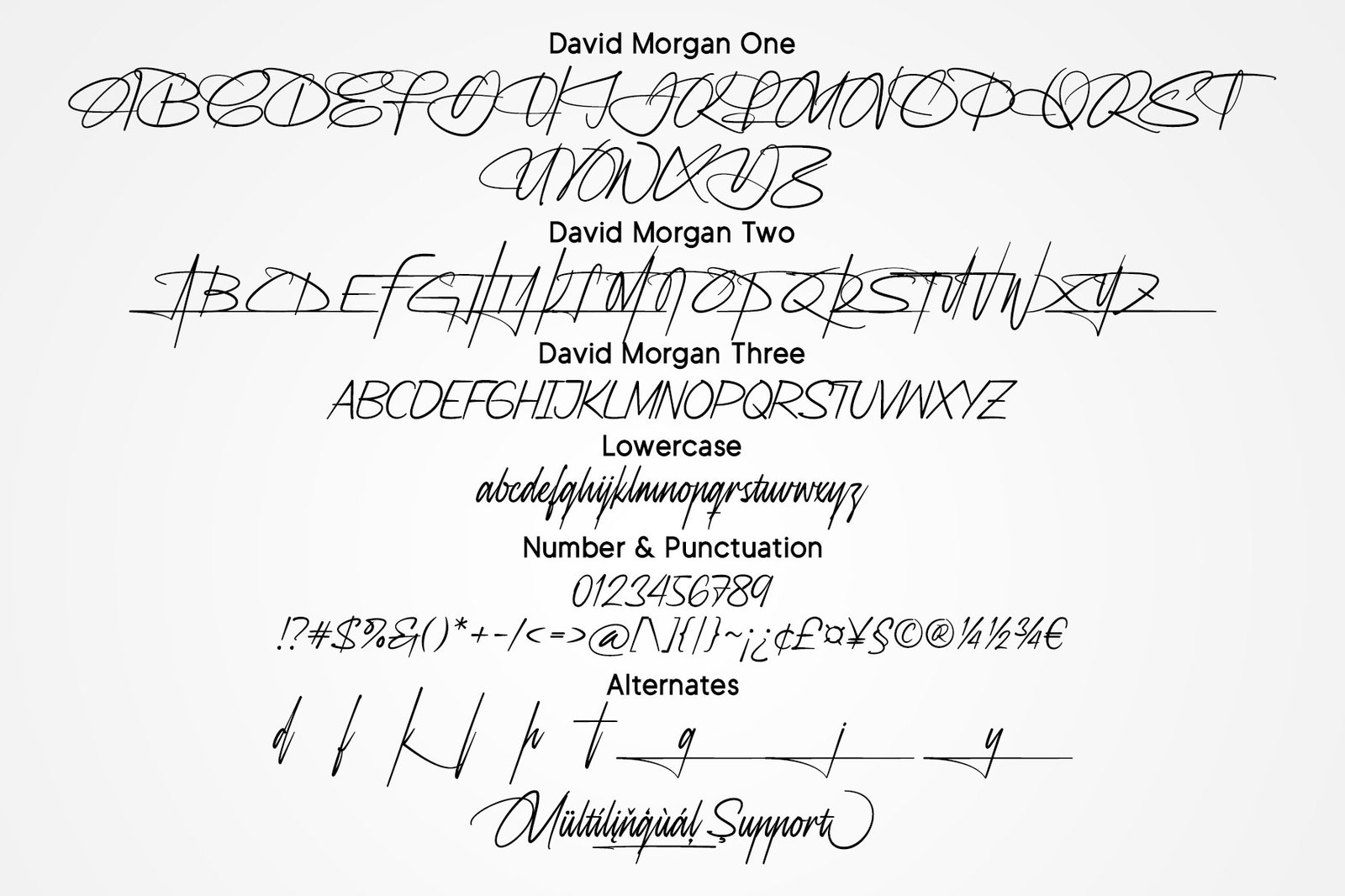 David Morgan - Signature Font