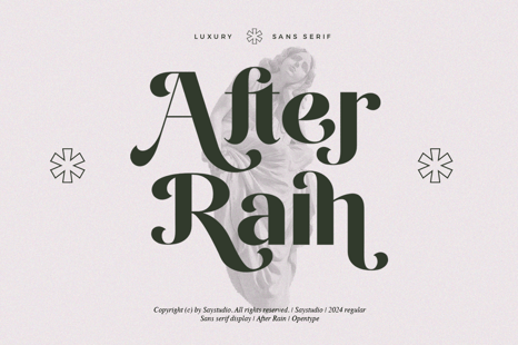 After Rain - Luxury Sans Font - Modern sans serif font