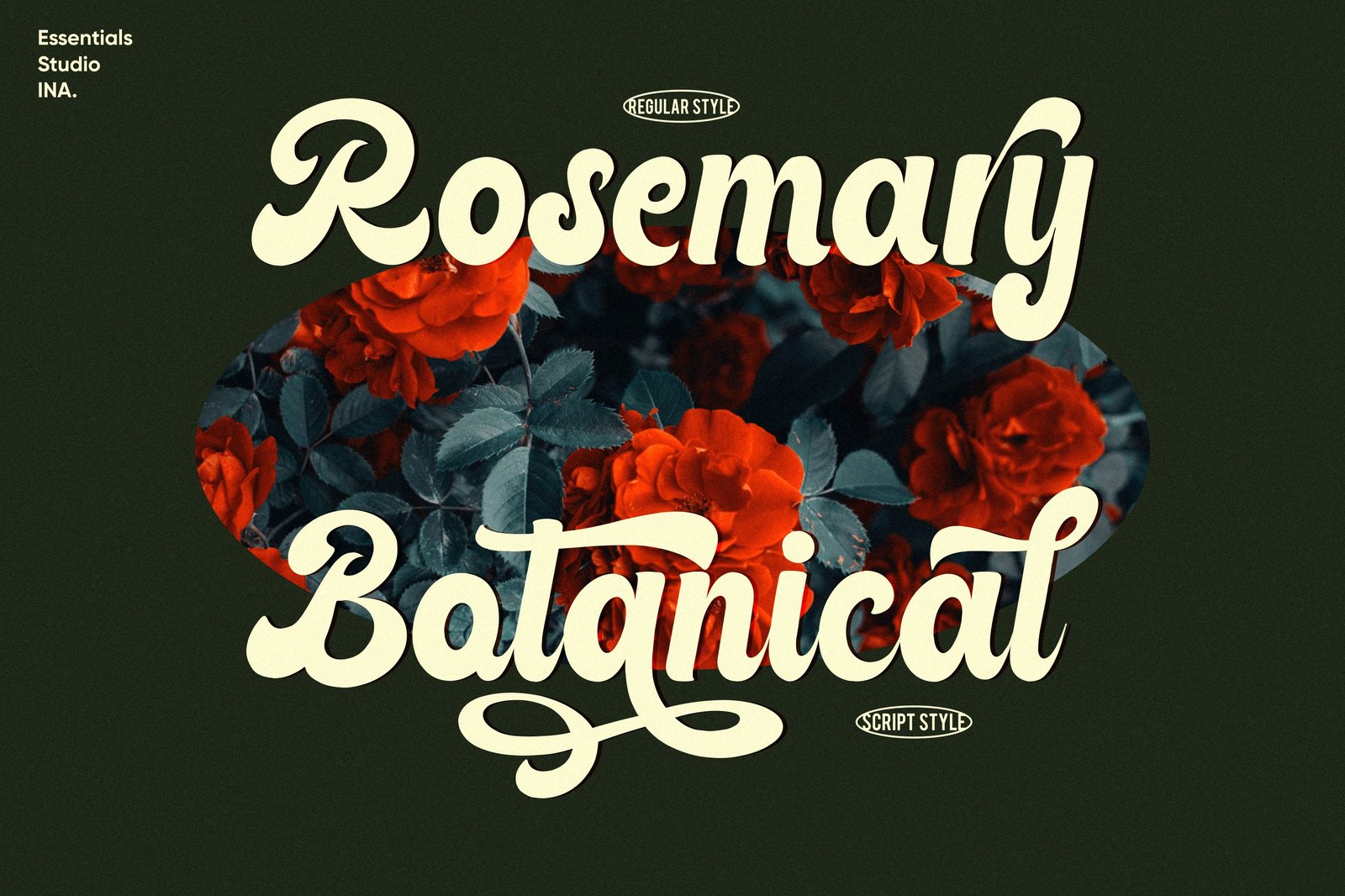 Rateline - Bold Vintage Font