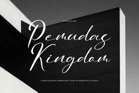 Pemudas Kingdom - Elegant Handwritten Script Font - Stylish fonts