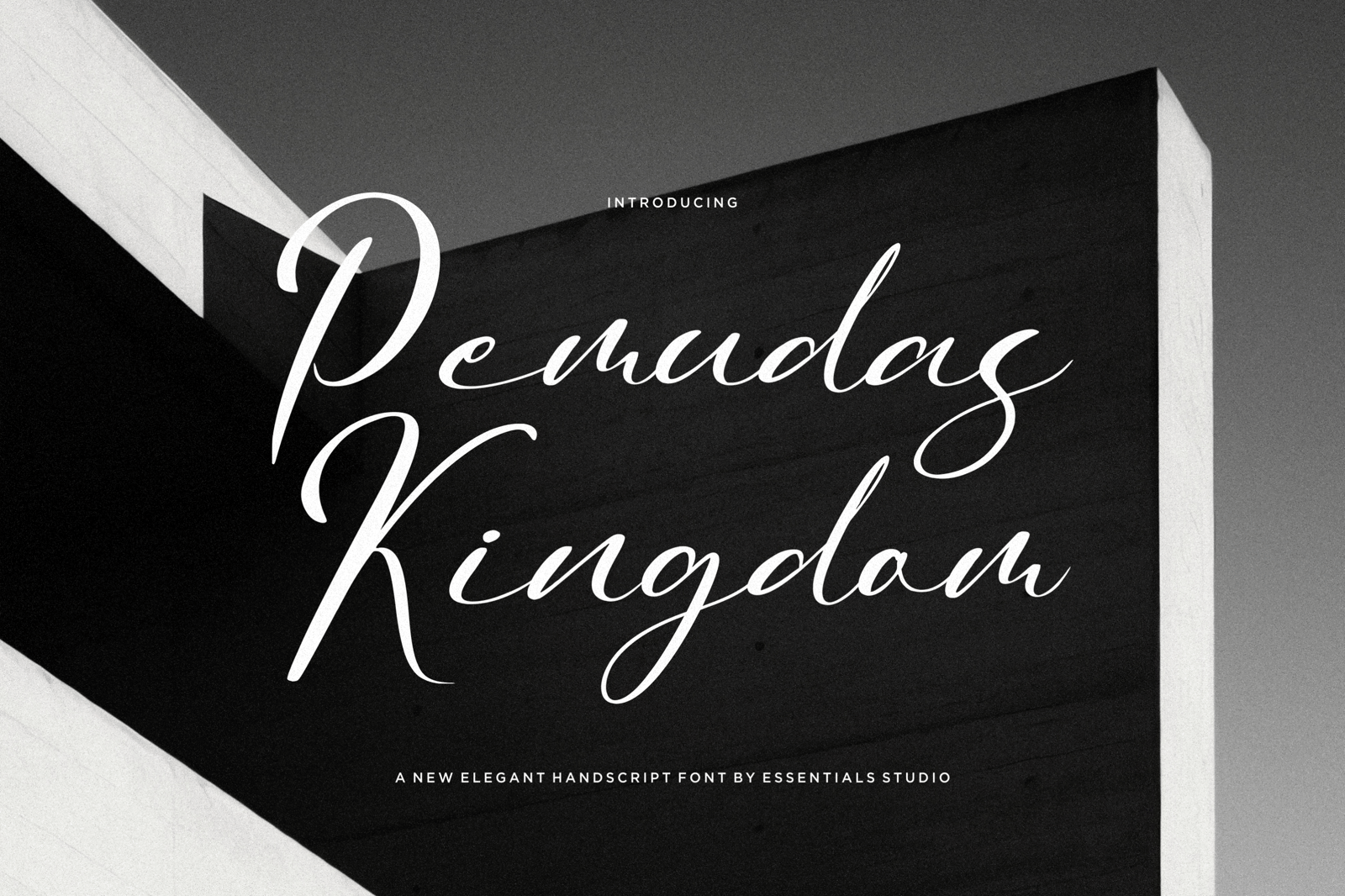 Pemudas Kingdom - Elegant Handwritten Script Font