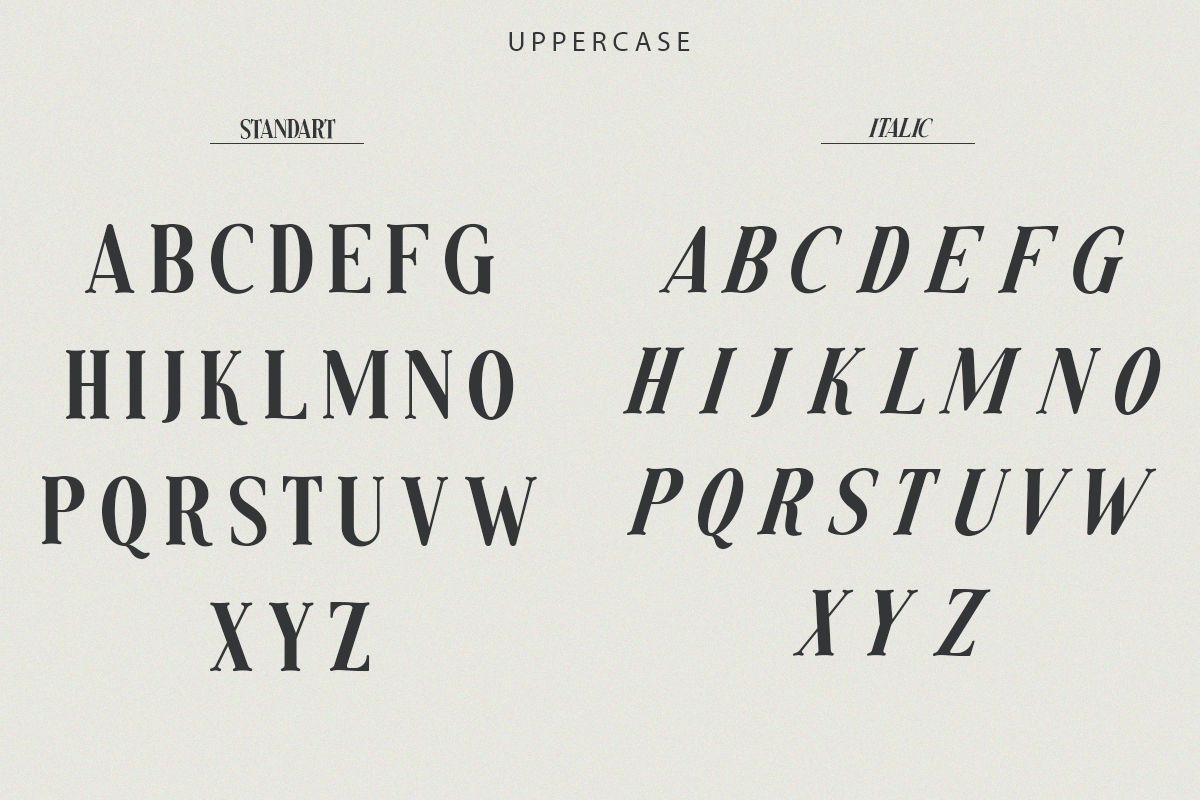 Snow Flakes - Nostalgic Serif Font