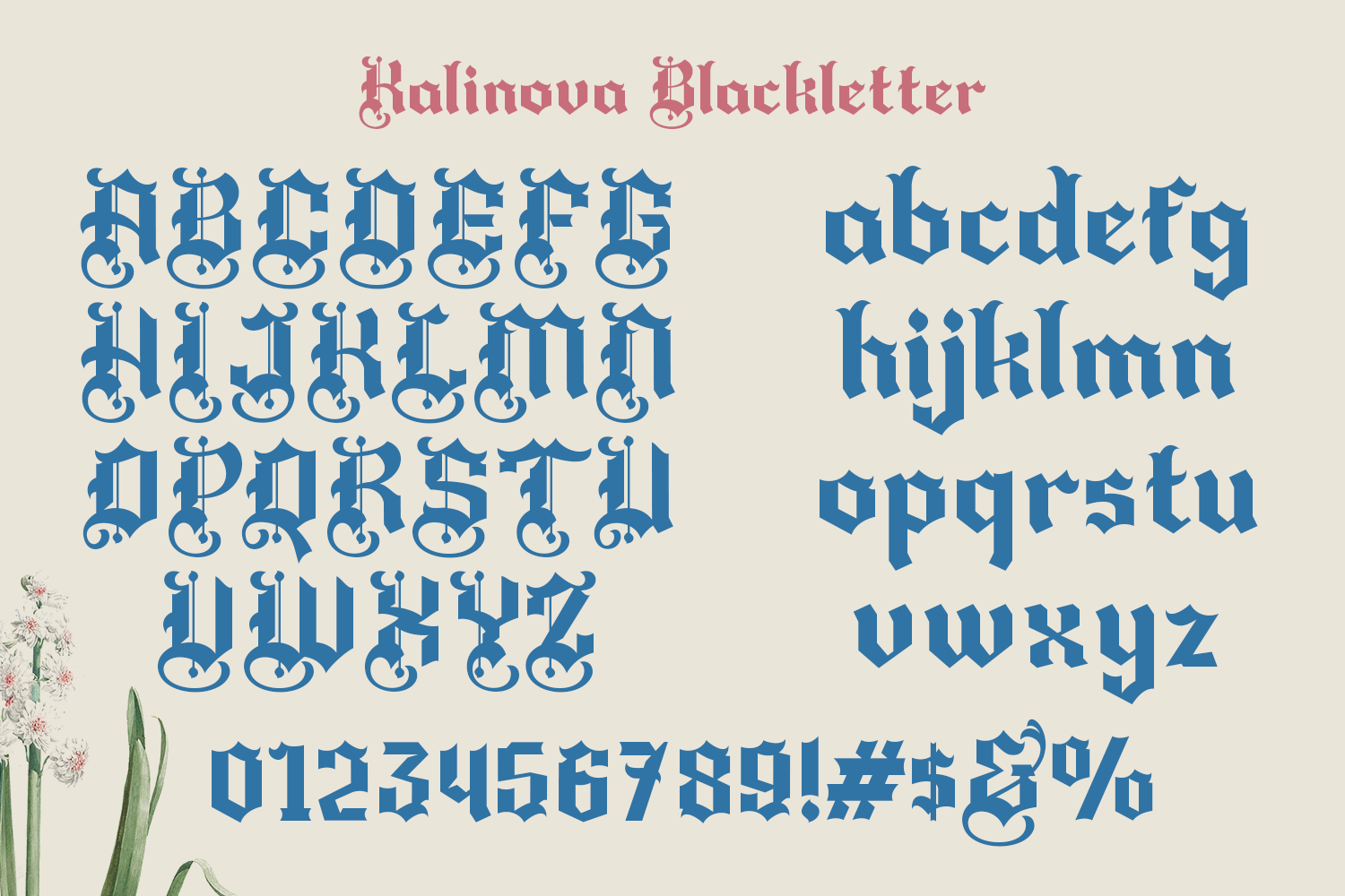 Kolinova Blackletter Font