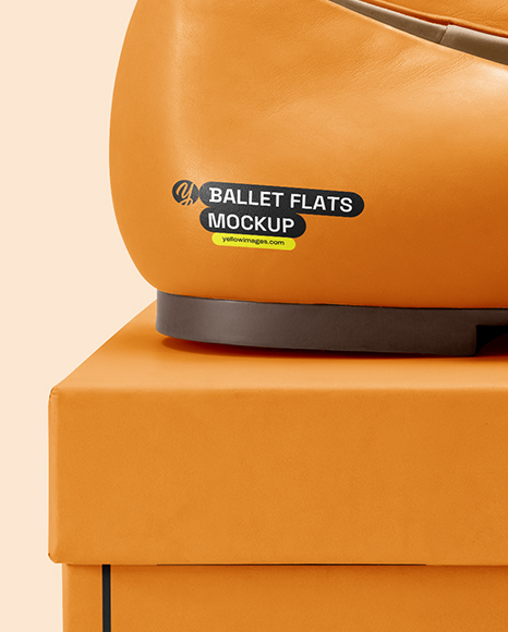 Pair of Leather Ballet Flats on Shoe Box Mockup