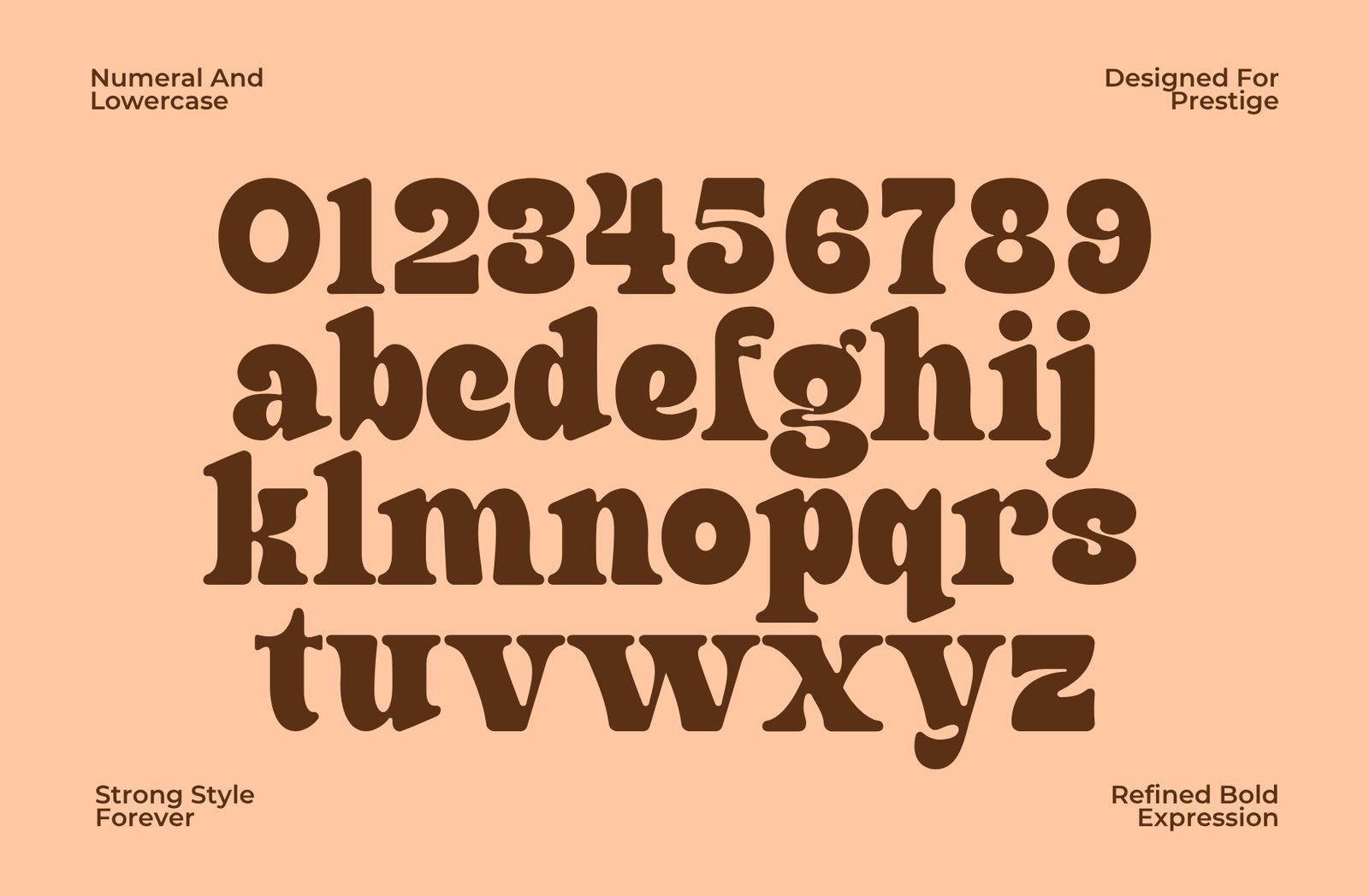 Finer – Classic Bold Serif Typeface