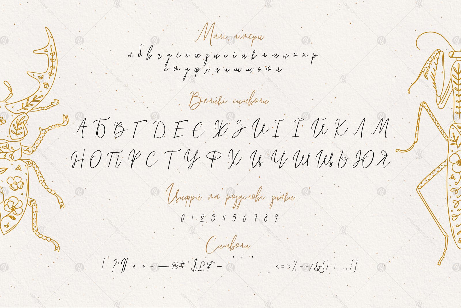 Lyuli Font Script