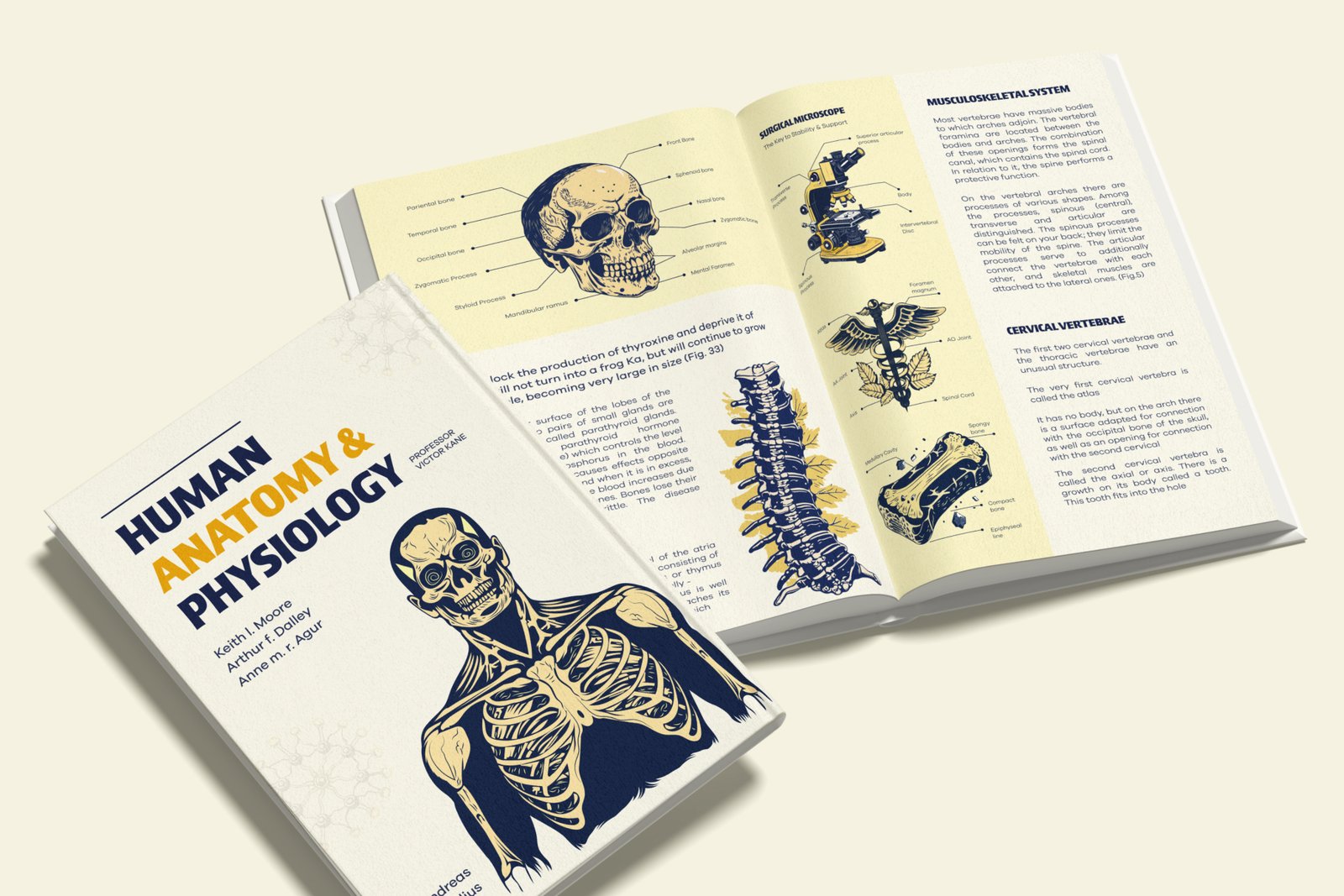 Vintage Medical illustrations