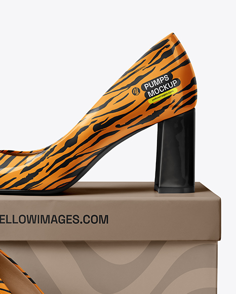 Block Heel Pumps with Shoe Box Mockup