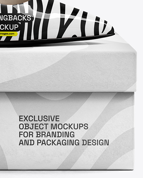 Glossy Slingback on Shoe Box Mockup