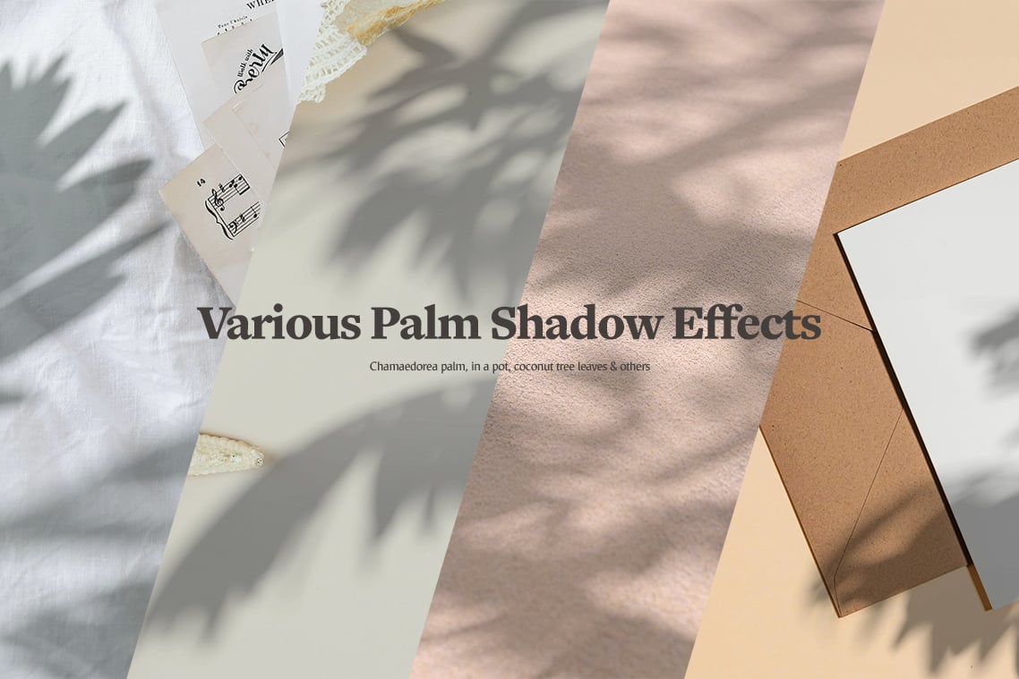 Plant Shadow Backdrops Video Bundle