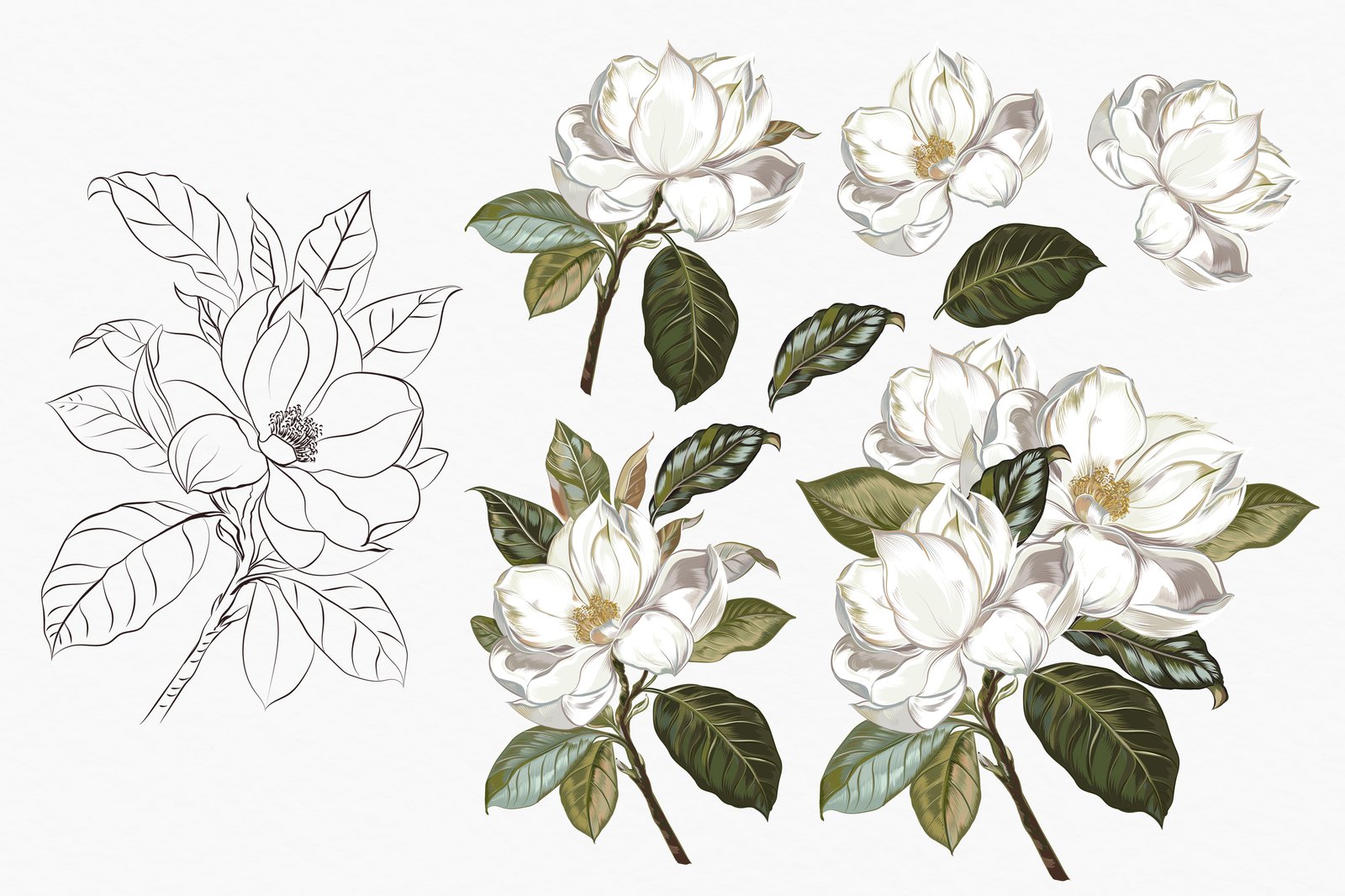 Lemons and Magnolia vector set