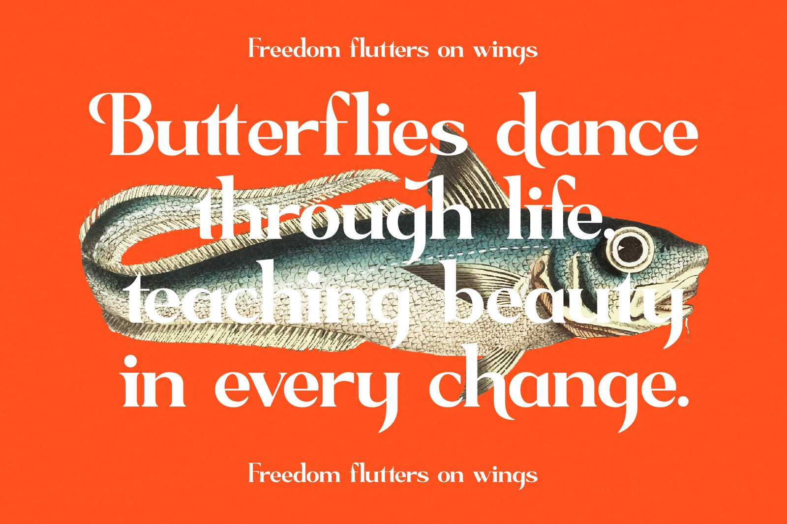 Sagfield Modern Serif