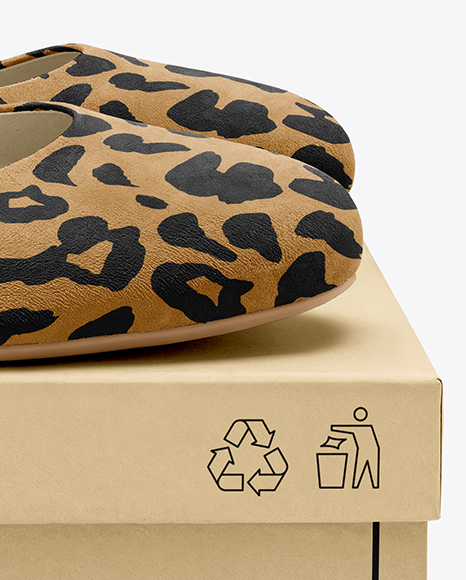 Pair of Suede Ballet Flats with Box Mockup