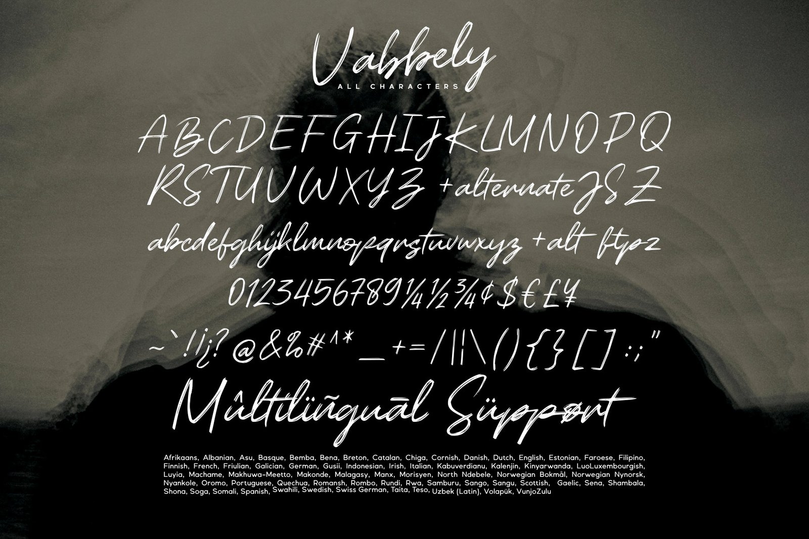 Vabbely / Brush Textured Typeface
