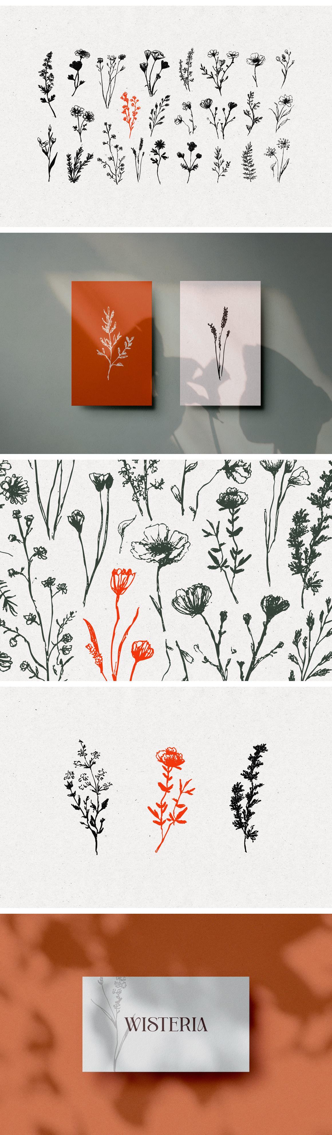 Wild Plants Graphic Set