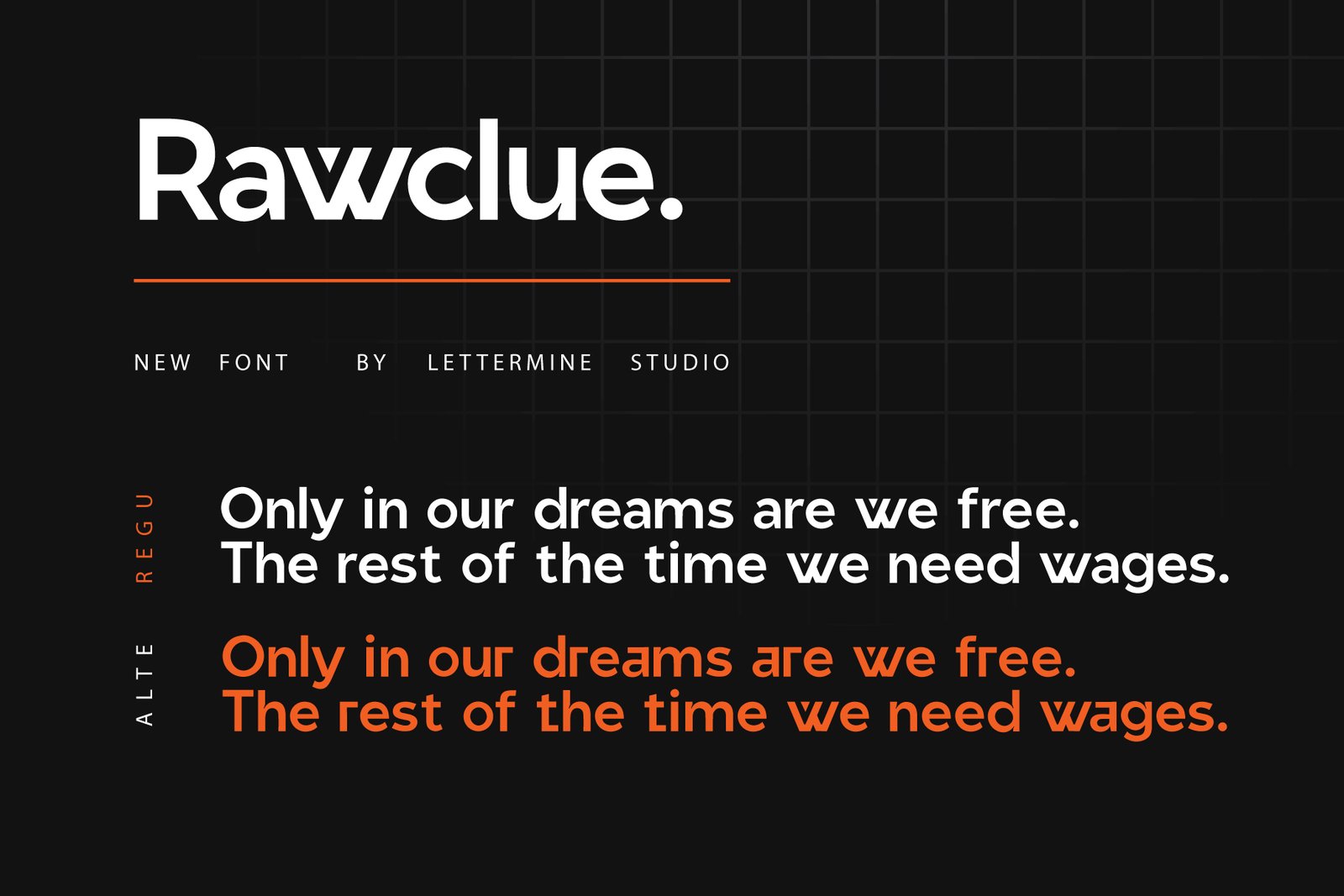 Rawclue - Modern Sans Serif