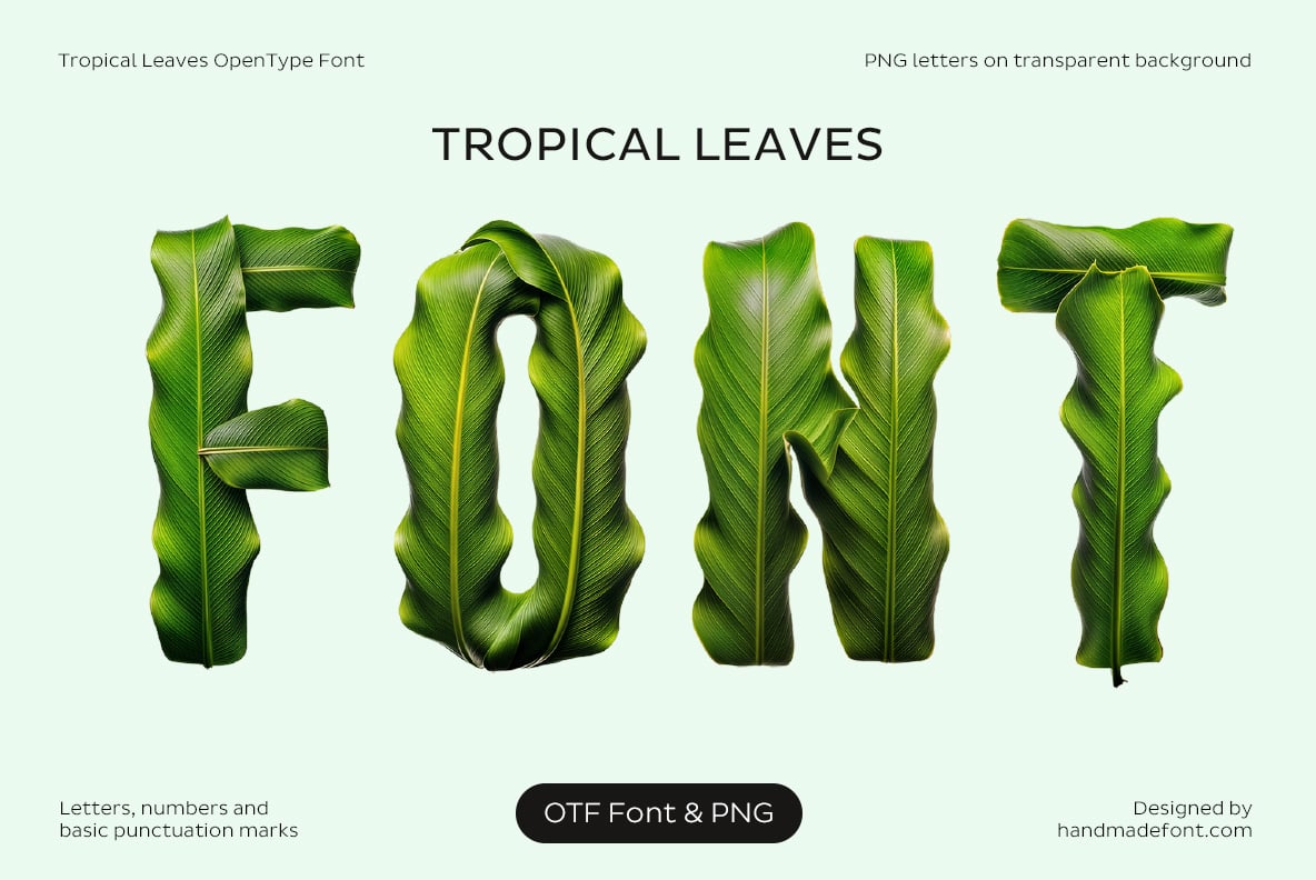 Tropical Leaves Font