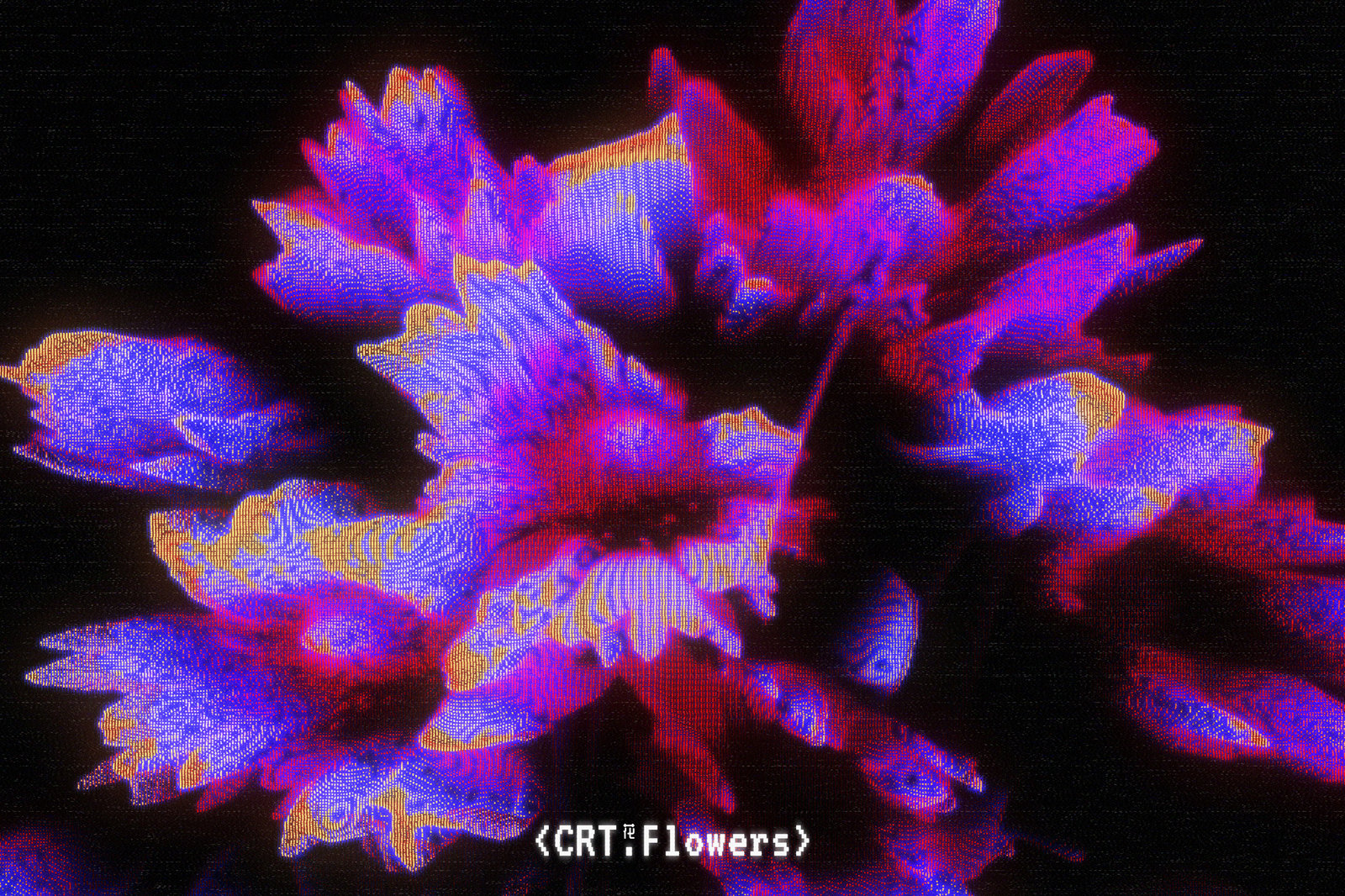 CRT Flowers