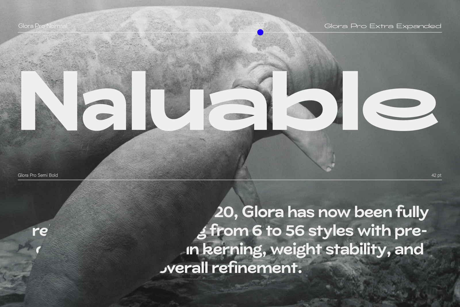 ZT Glora Pro Font