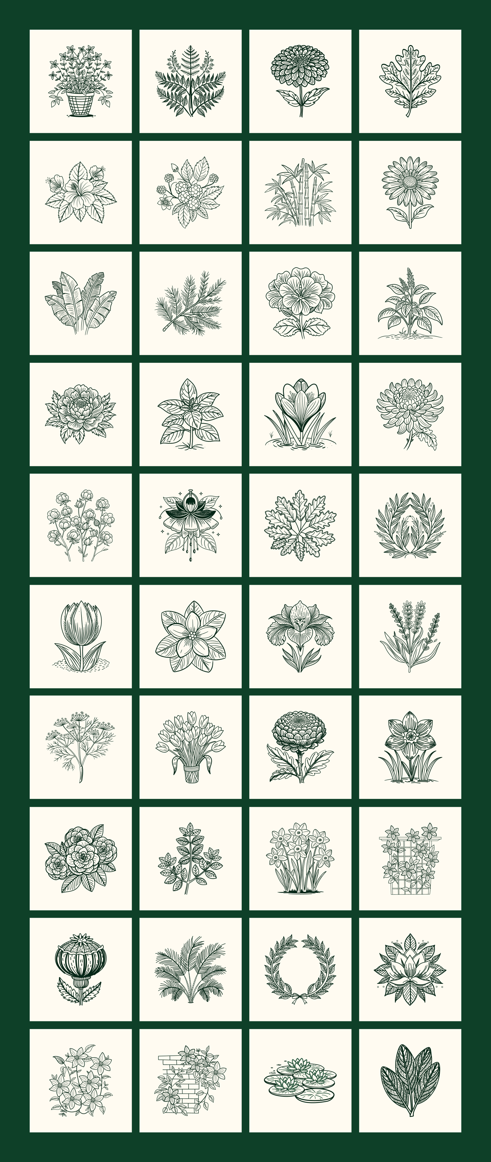 Vintage Nature Illustrations Bundle