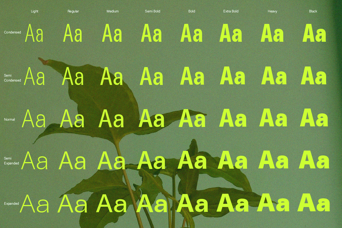 ZT Talk Font