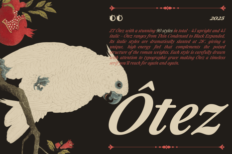 ZT Otez Font - Creative Store