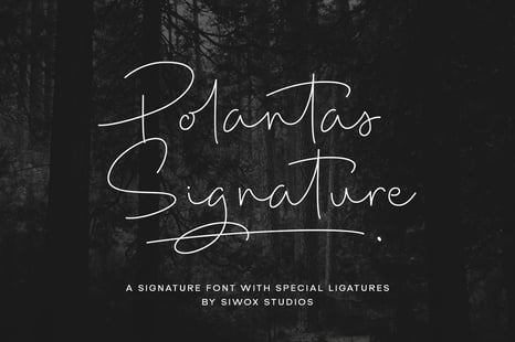 Polantas Signature Font - Monoline script font