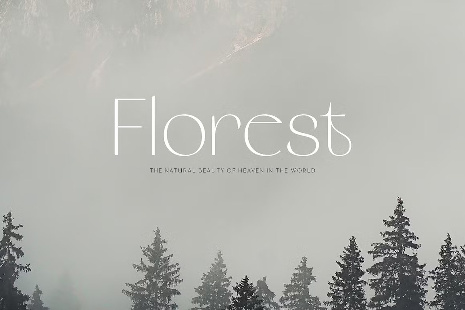 Murina Elegant Display Font