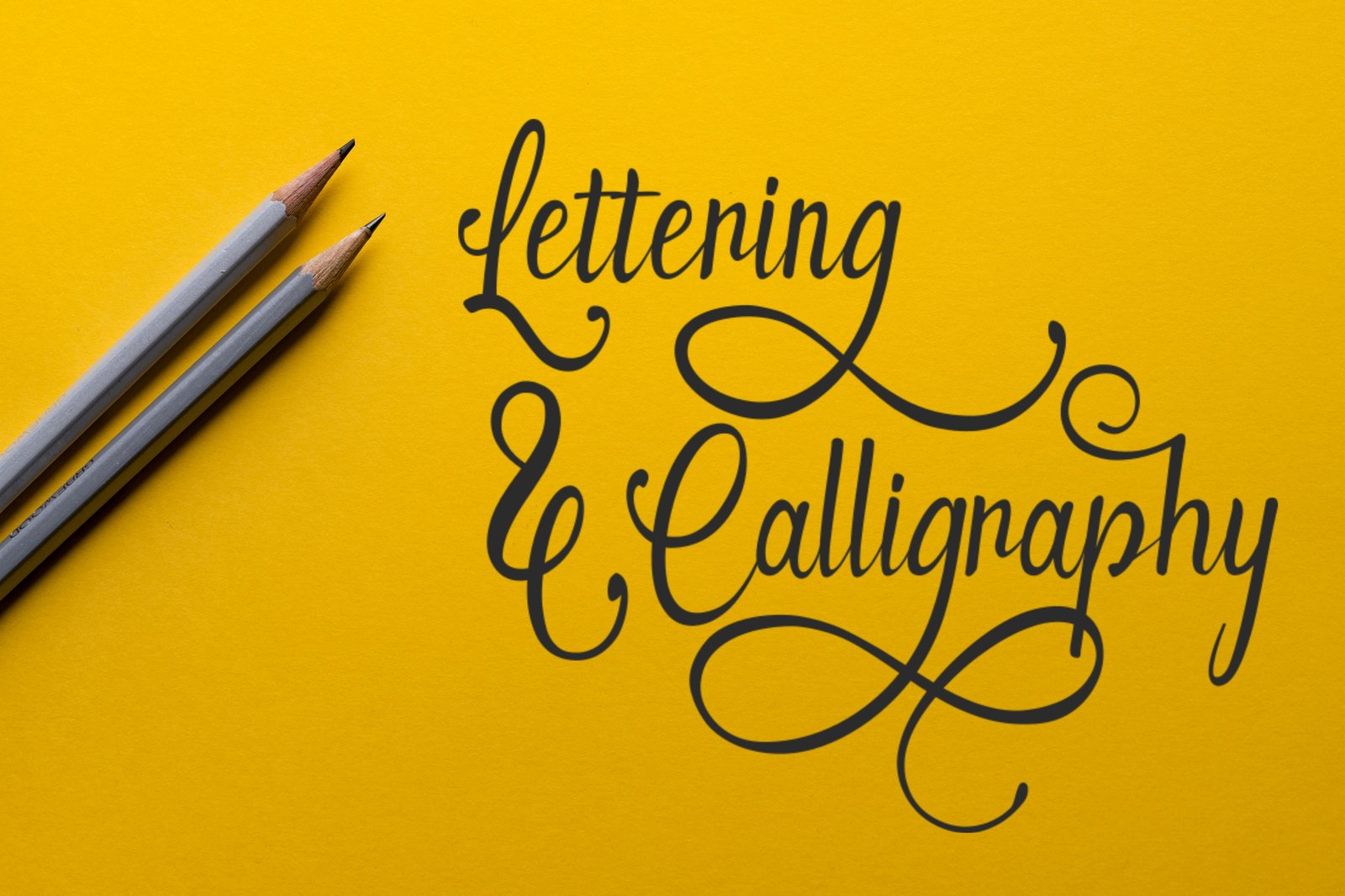Alana Rodriguez Font