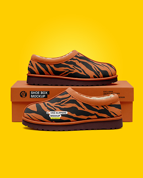 Pair of Women's UGG Slippers with Shoe Box Mockup
