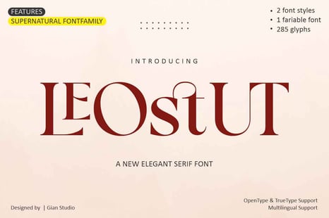 Leostut Font - Magazine font