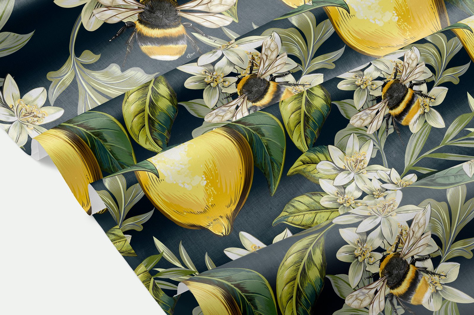 Lemons and Magnolia vector set