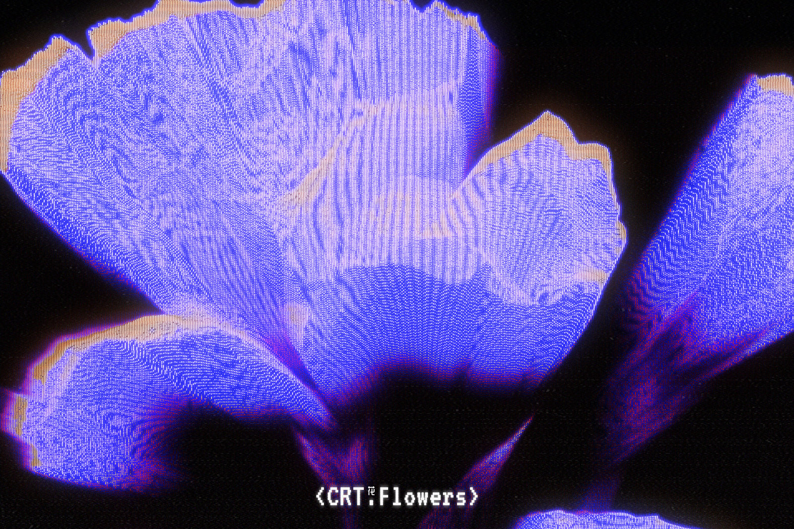 CRT Flowers