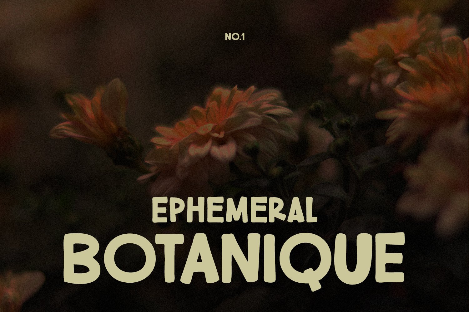 Luthgy Handmade Display Font