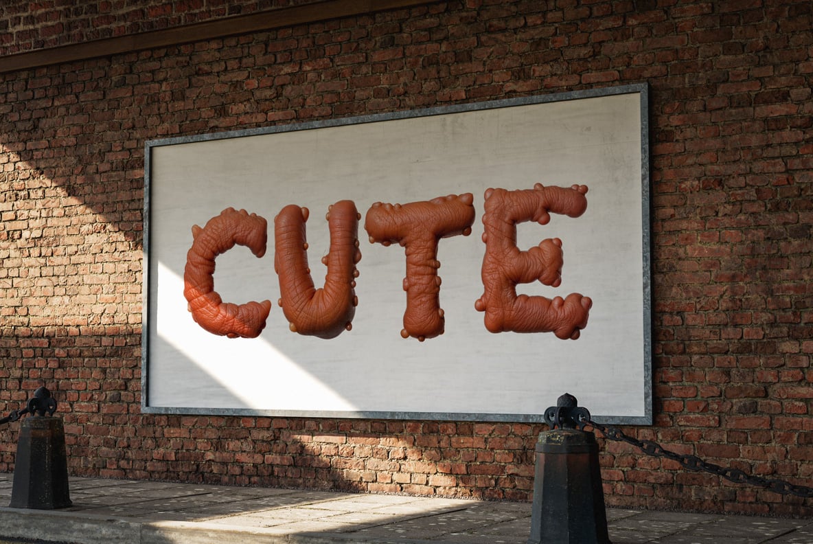 Ugly Skin Font