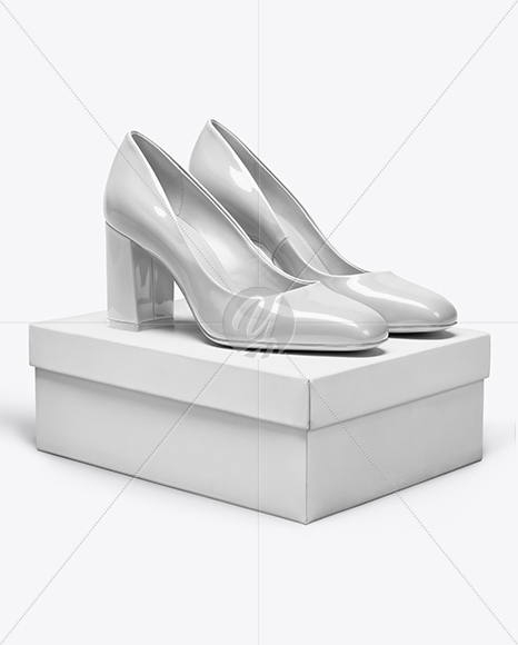Block Heel Pumps with Shoe Box Mockup