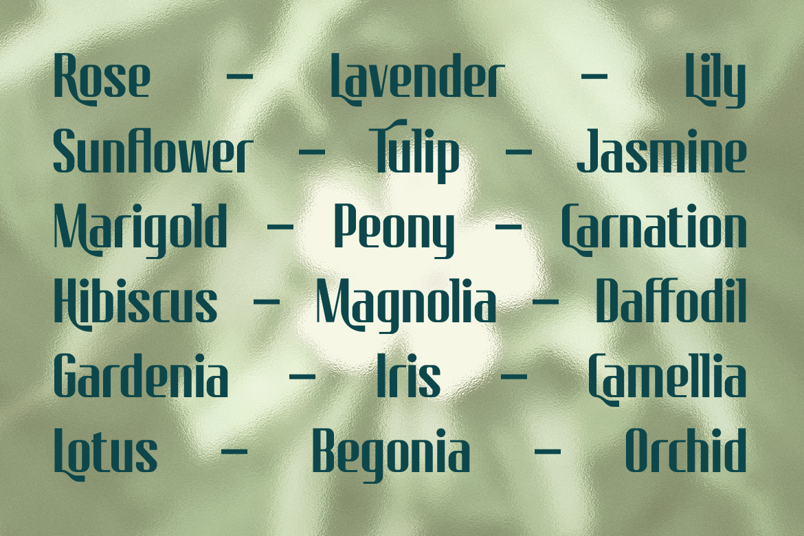 Nureta - Classic Elegant Display Font