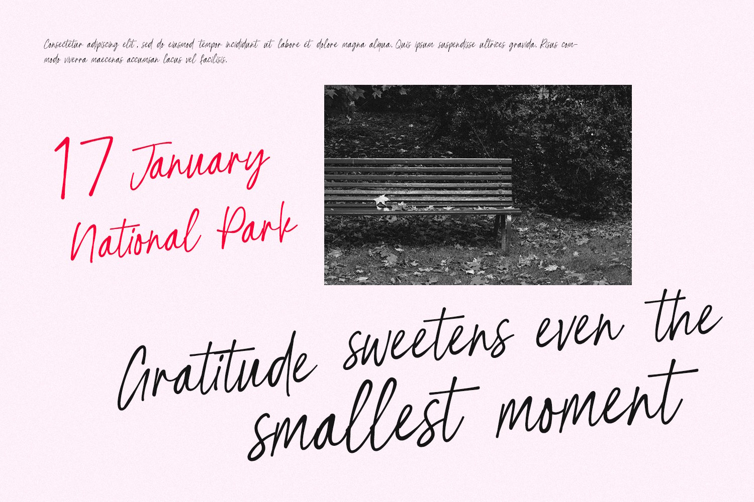 Befinal Cotin Elegant Casual Script Font
