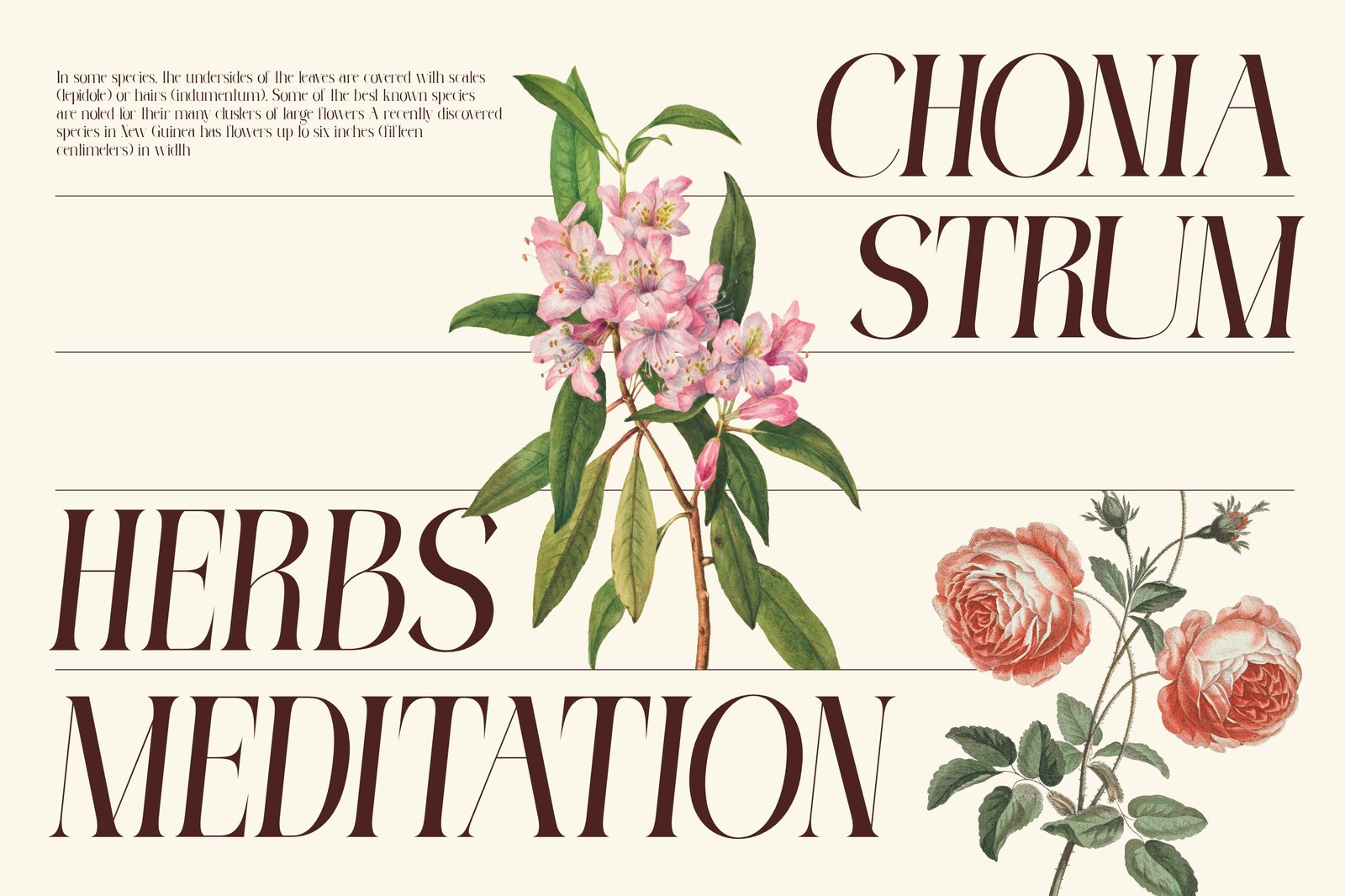 Malgods Bohemian Font
