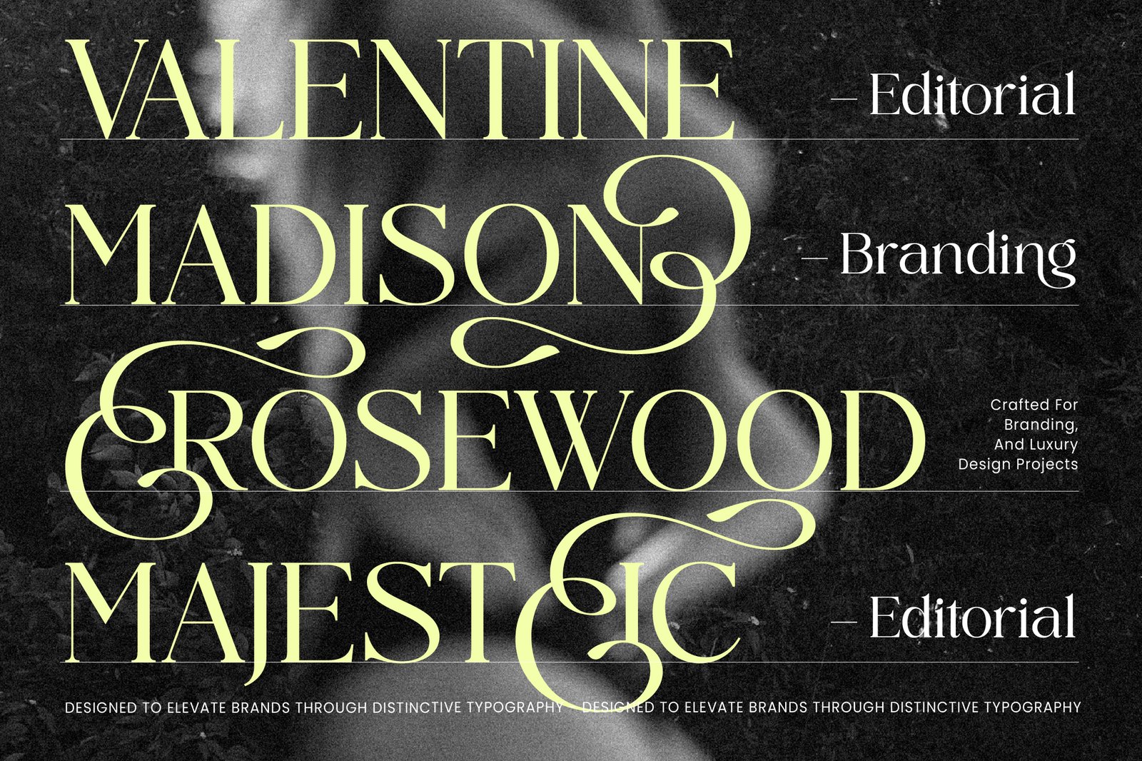 Midnight Cafe Society Elegant Serif