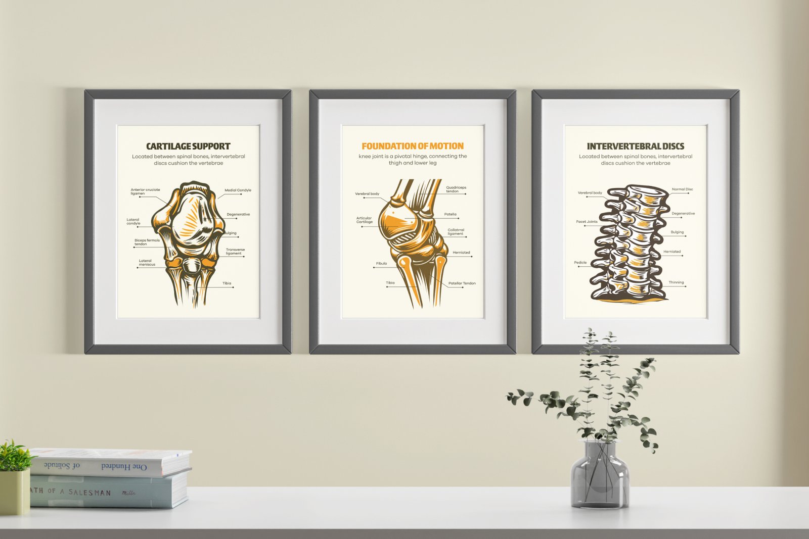 Vintage and Antique Anatomy Illustrations