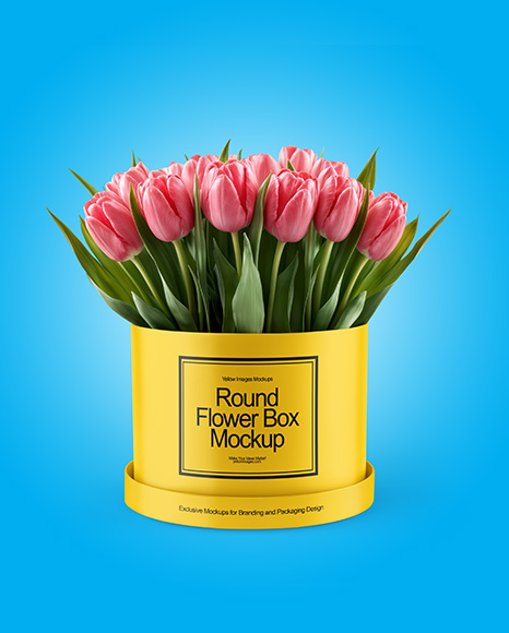 Round Flower Box Mockup
