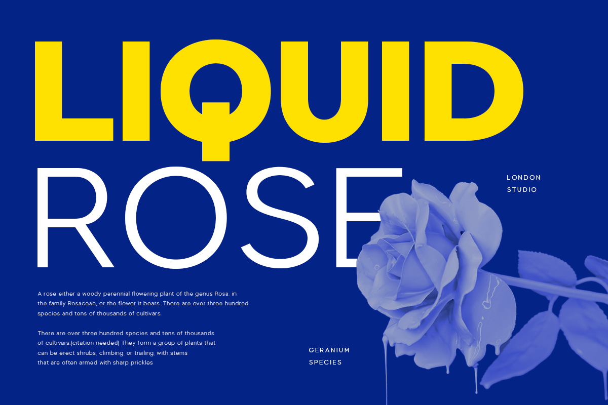 Madani - Professional Modern Sans Serif Family