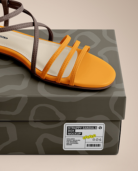 Pair of Strappy Sandals With Box Mockup